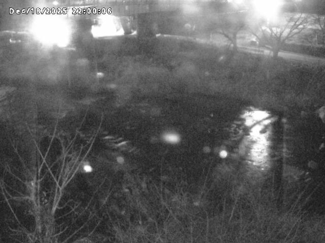 日野川１０2025/12/19 20:00:00