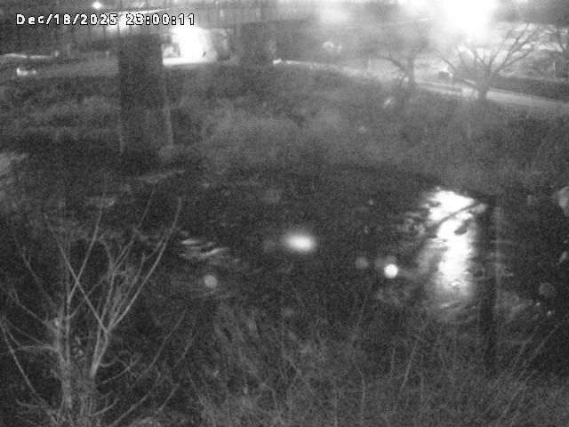 日野川１０2025/12/19 20:00:00