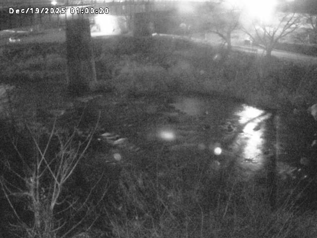 日野川１０2025/12/19 20:00:00