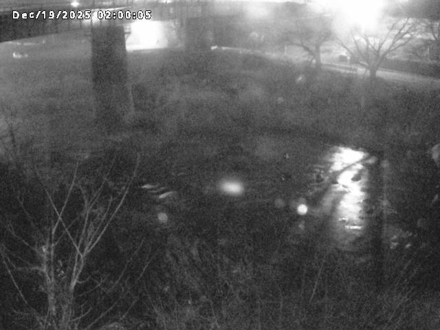 日野川１０2025/12/19 20:00:00