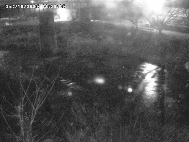 日野川１０2025/12/19 20:00:00