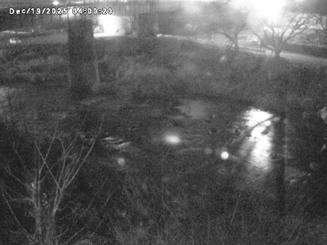 日野川１０2025/12/19 20:00:00