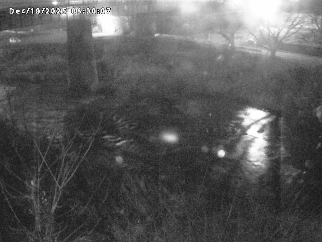 日野川１０2025/12/19 20:00:00