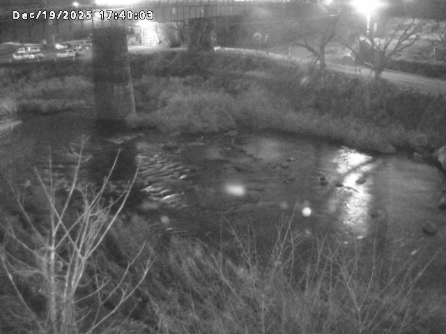 日野川１０2025/12/19 20:00:00