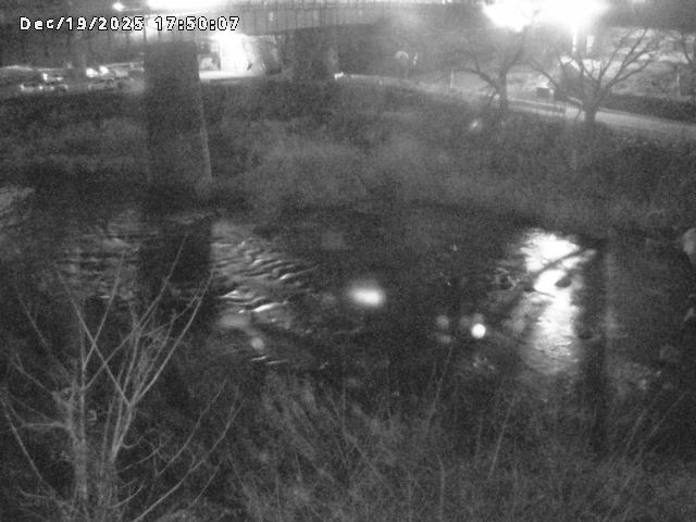 日野川１０2025/12/19 20:00:00