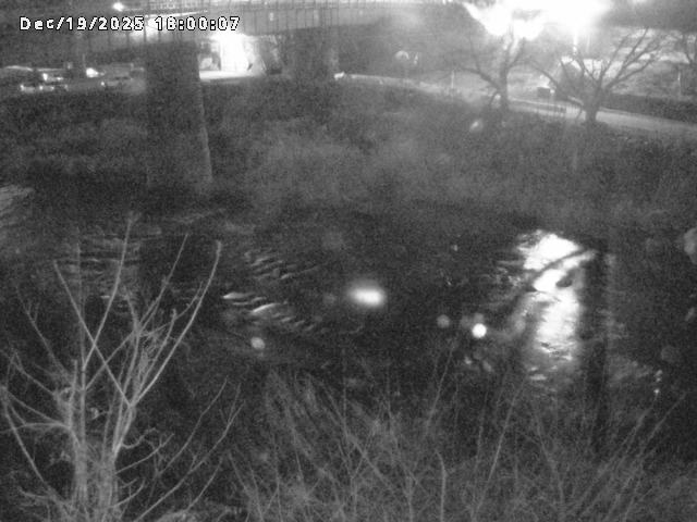 日野川１０2025/12/19 20:00:00