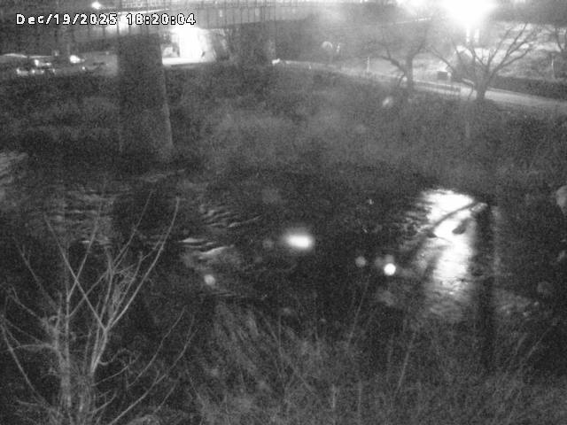 日野川１０2025/12/19 20:00:00