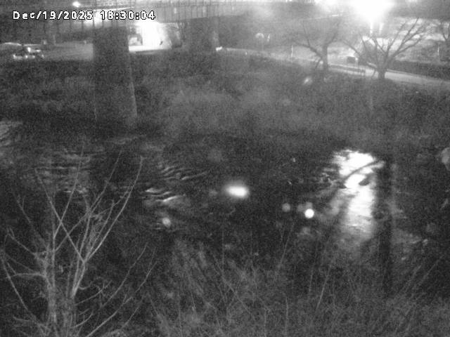 日野川１０2025/12/19 20:00:00