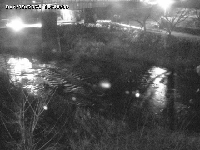 日野川１０2025/12/19 20:00:00