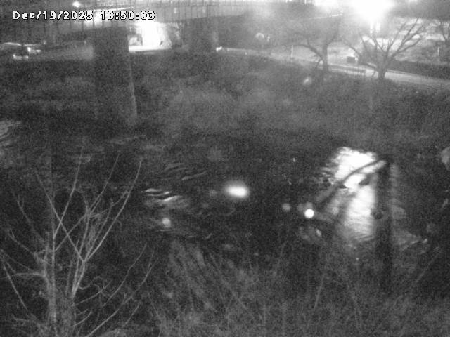 日野川１０2025/12/19 20:00:00