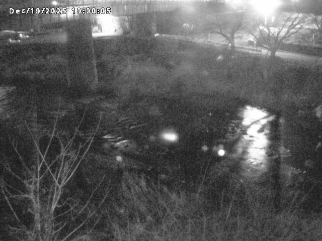 日野川１０2025/12/19 20:00:00