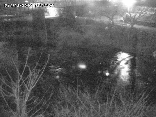 日野川１０2025/12/19 20:00:00