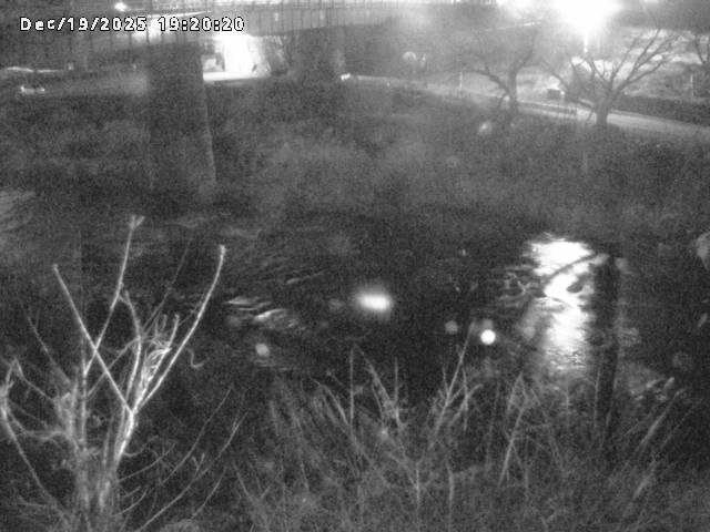 日野川１０2025/12/19 20:00:00