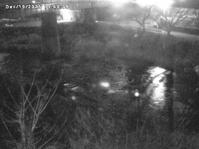 日野川１０2025/12/19 20:00:00