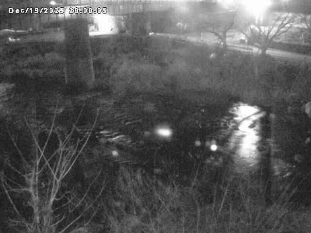 日野川１０2025/12/19 20:00:00