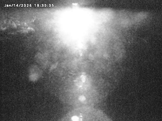 日野川８2026/01/14 19:30:00