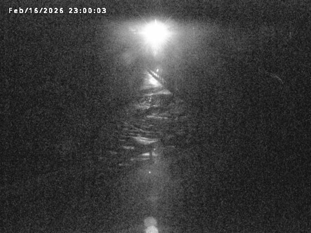 日野川８2026/02/17 16:40:00