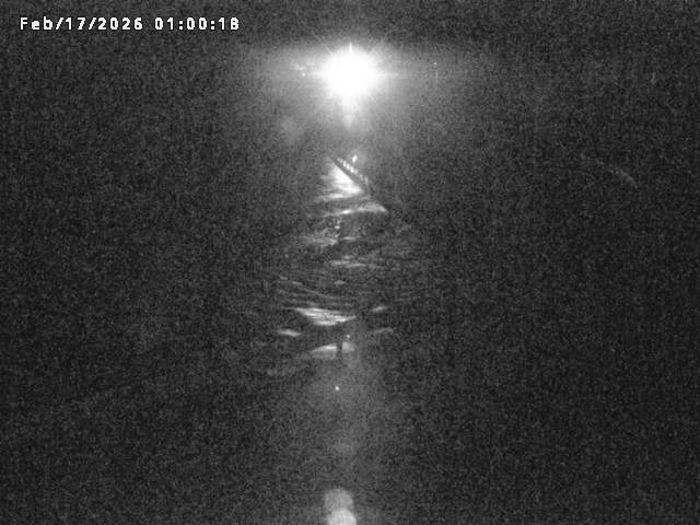 日野川８2026/02/17 16:40:00