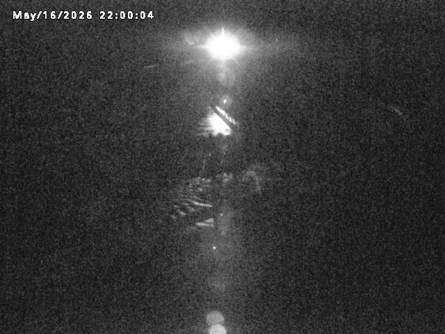 日野川８2026/05/17 21:00:00