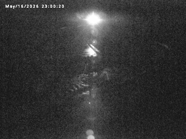 日野川８2026/05/17 21:00:00