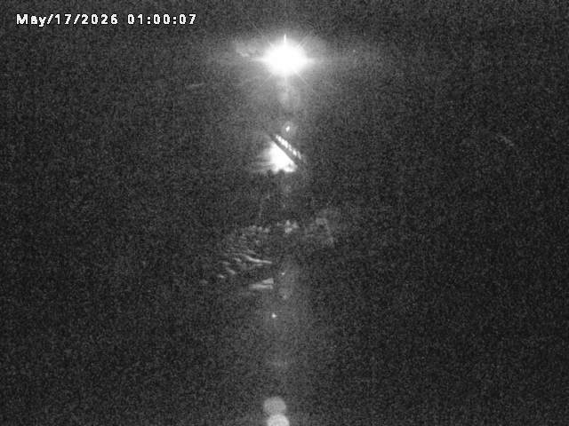 日野川８2026/05/17 21:00:00