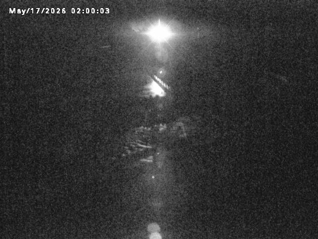 日野川８2026/05/17 21:00:00