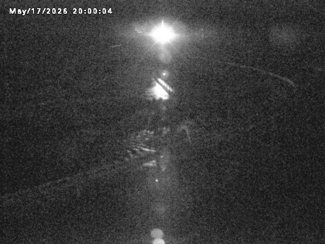 日野川８2026/05/17 21:00:00