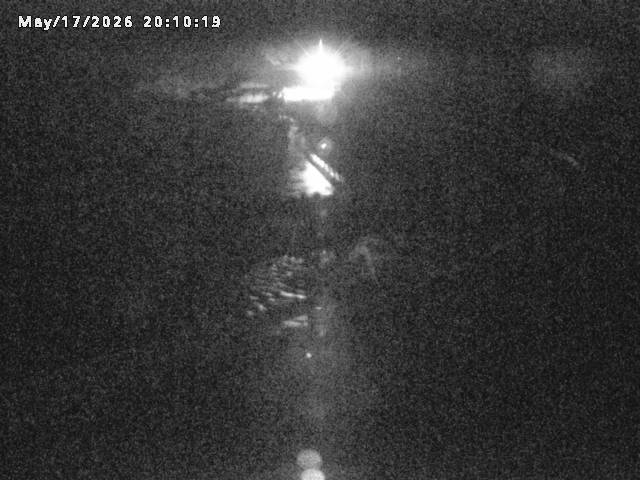日野川８2026/05/17 21:00:00