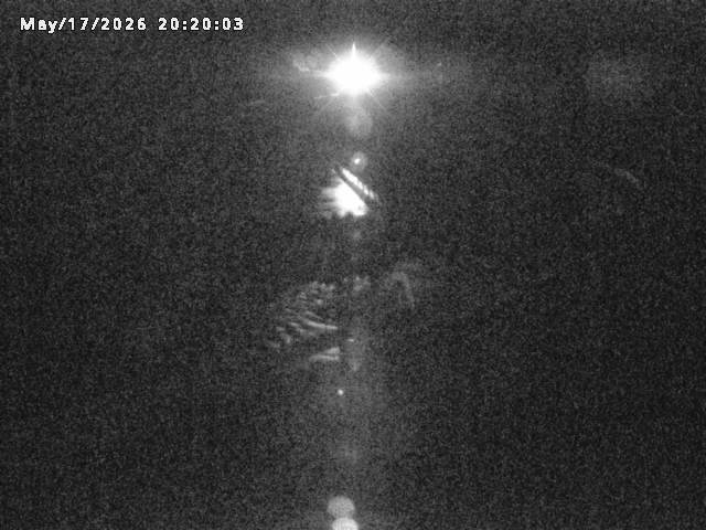 日野川８2026/05/17 21:00:00