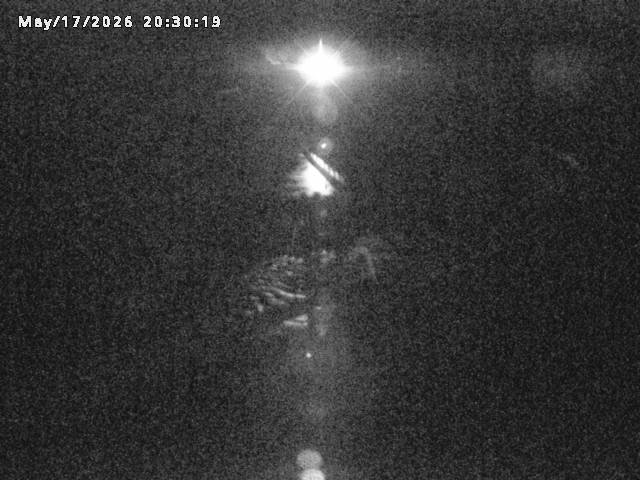 日野川８2026/05/17 21:00:00