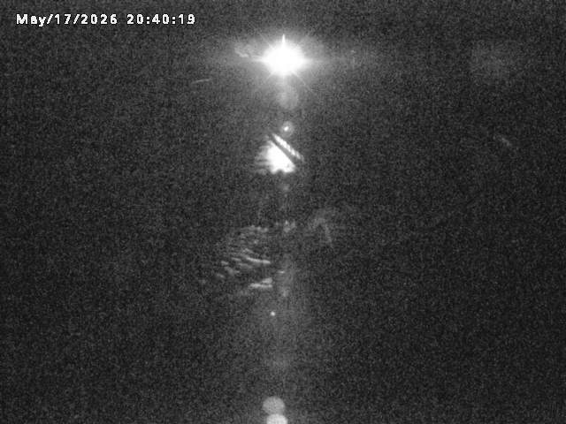 日野川８2026/05/17 21:00:00