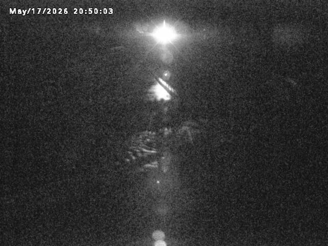 日野川８2026/05/17 21:00:00