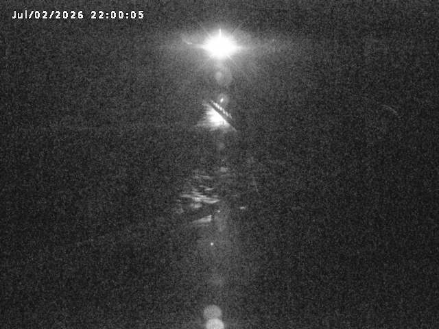 日野川８2026/07/03 9:30:00