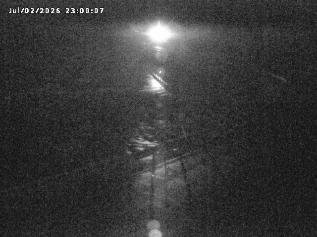 日野川８2026/07/03 9:30:00