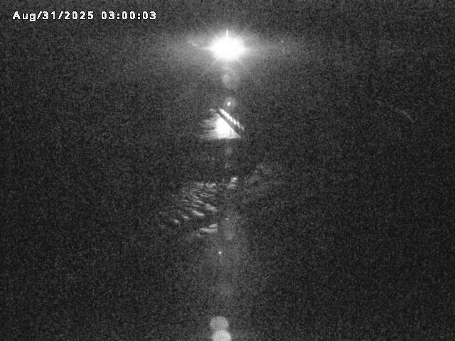 日野川８2025/08/31 9:10:00