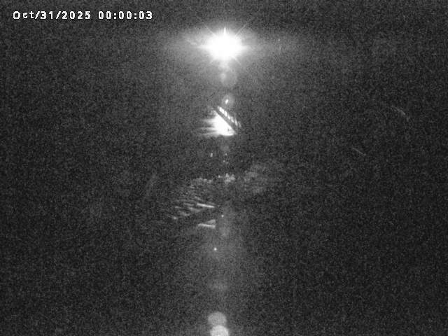 日野川82025/10/31 05:50