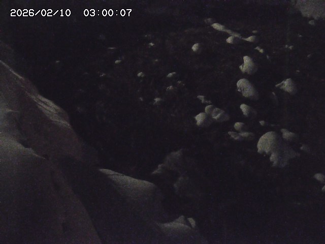 私都川７2026/02/11 3:10:00