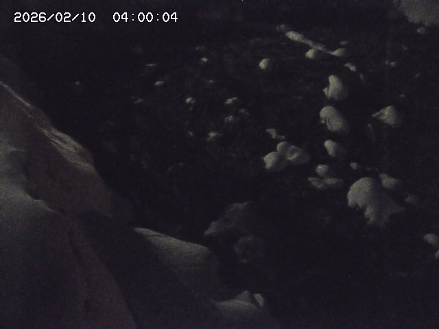 私都川７2026/02/11 3:10:00