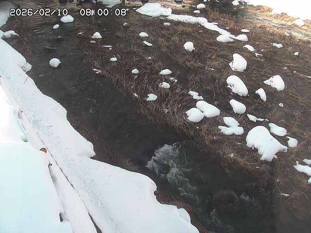 私都川７2026/02/11 3:10:00