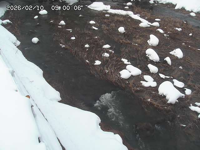 私都川７2026/02/11 3:10:00