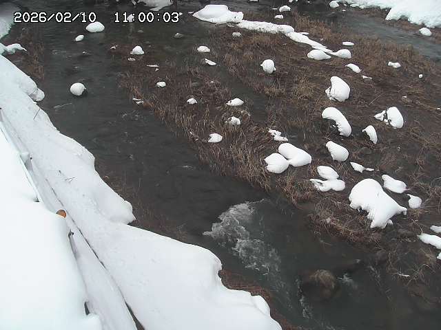 私都川７2026/02/11 3:10:00