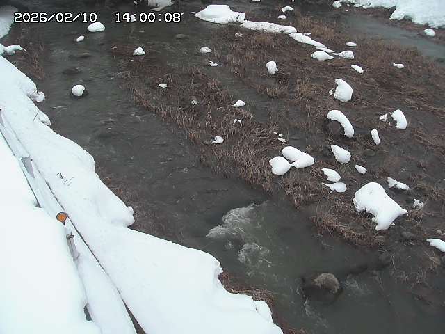 私都川７2026/02/11 3:10:00