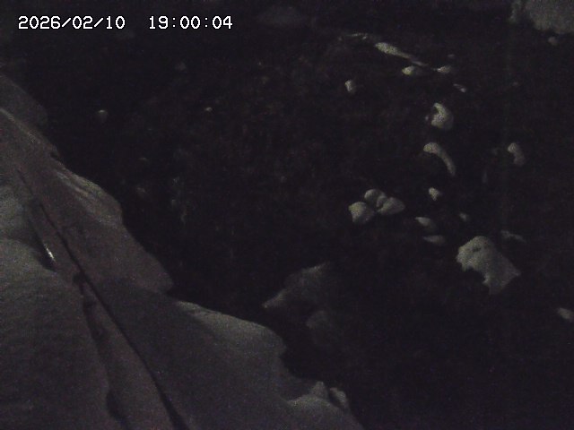 私都川７2026/02/11 3:10:00