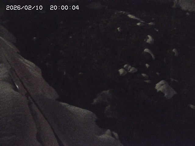 私都川７2026/02/11 3:10:00