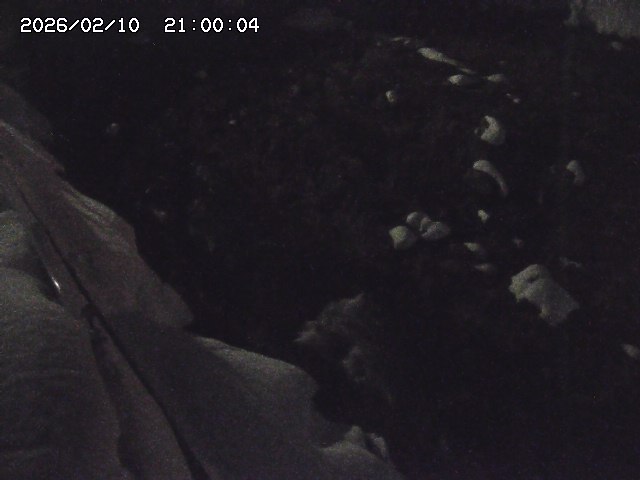 私都川７2026/02/11 3:10:00