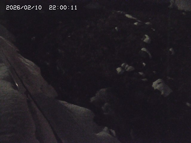 私都川７2026/02/11 3:10:00