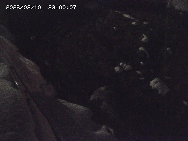 私都川７2026/02/11 3:10:00