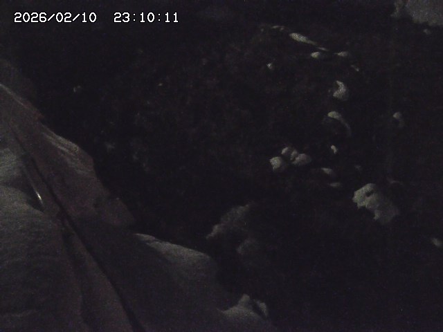 私都川７2026/02/11 3:10:00