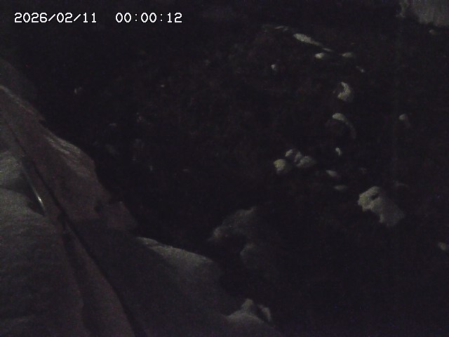 私都川７2026/02/11 3:10:00