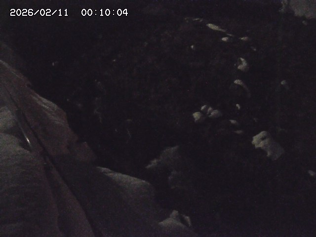 私都川７2026/02/11 3:10:00